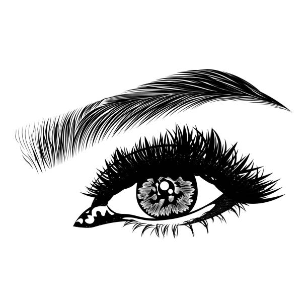 Brow Tint and Shape