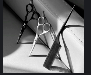 Scissor Cut - Thick Hair