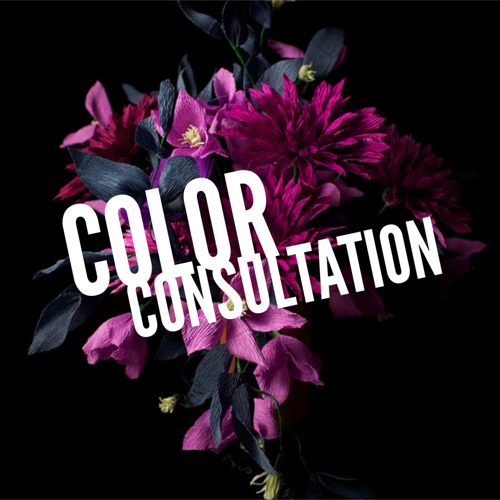 Color/Chemical Consultation