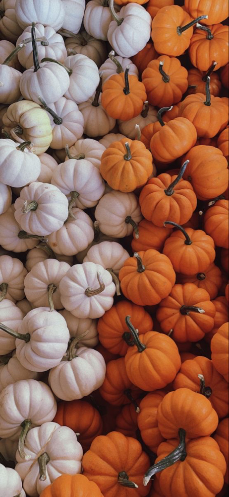 Pumpkin Facial (Seasonal)