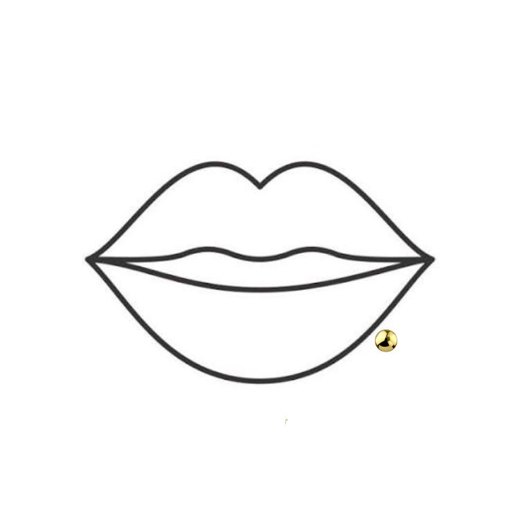 Side labret (Jewelry Included)