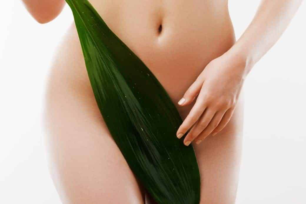 Brazilian Wax at Anointed Aesthetics in Pasadena, TX