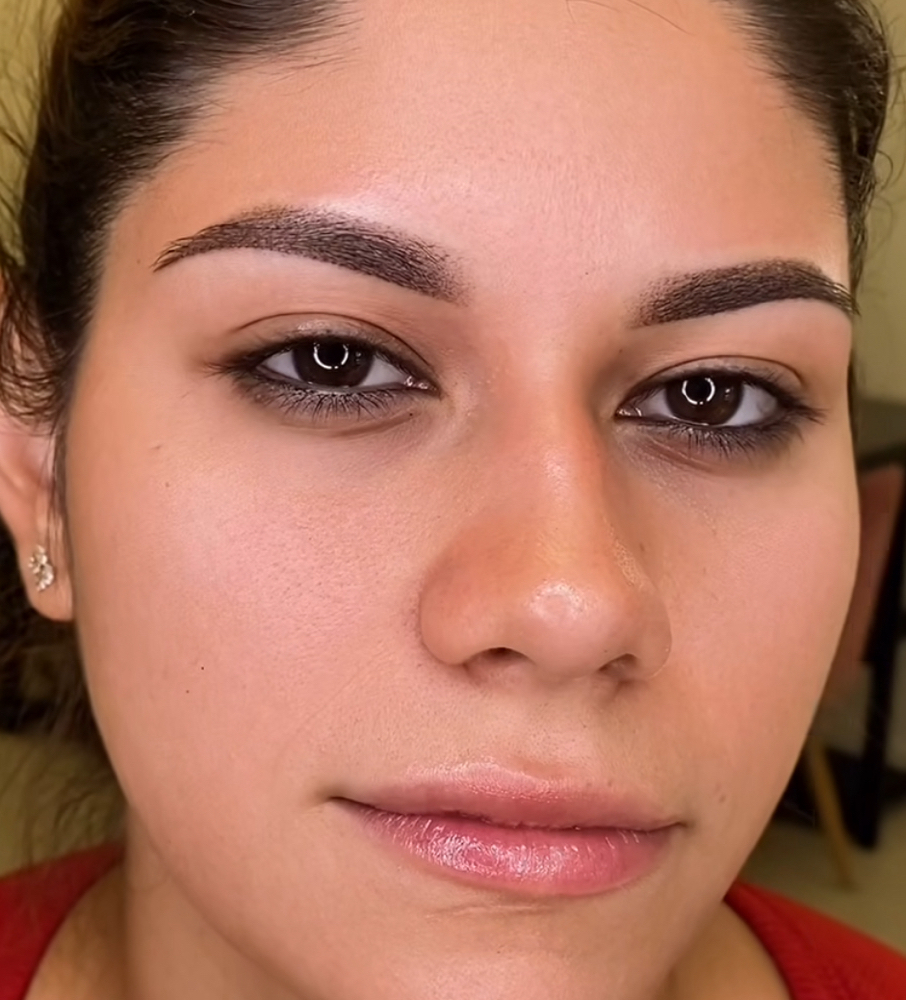 Ombre Brows (REG $450)