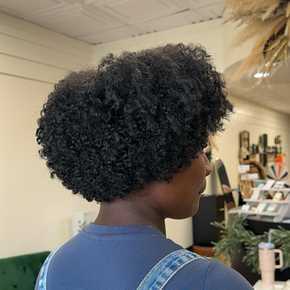 Signature Curl Cut — Returning at Alliecurls in O’Fallon, MO