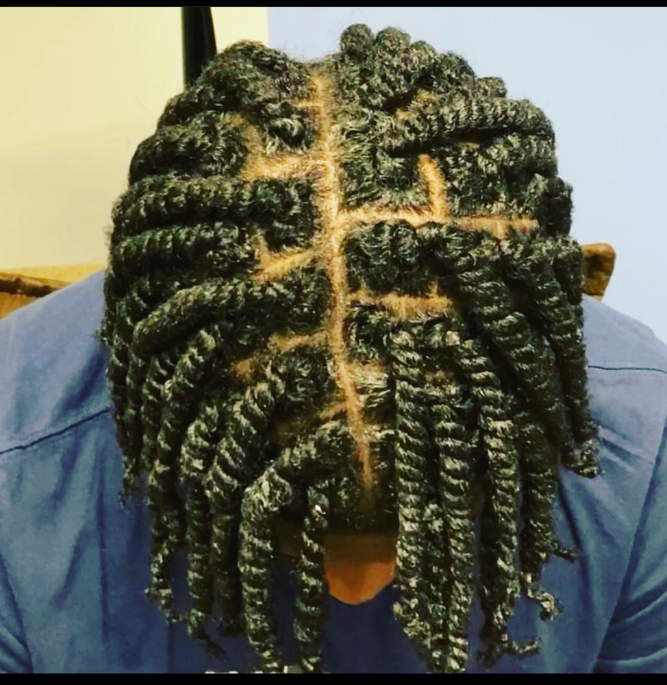 Two Strand Twists