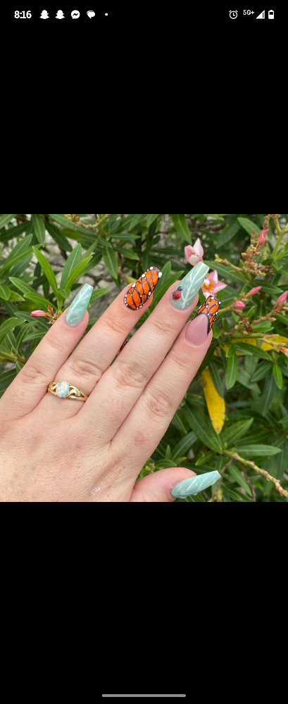 Builder Gel Fill
