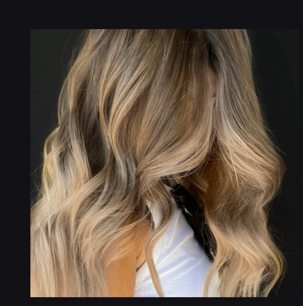 Partial Balayage + Haircut + Style