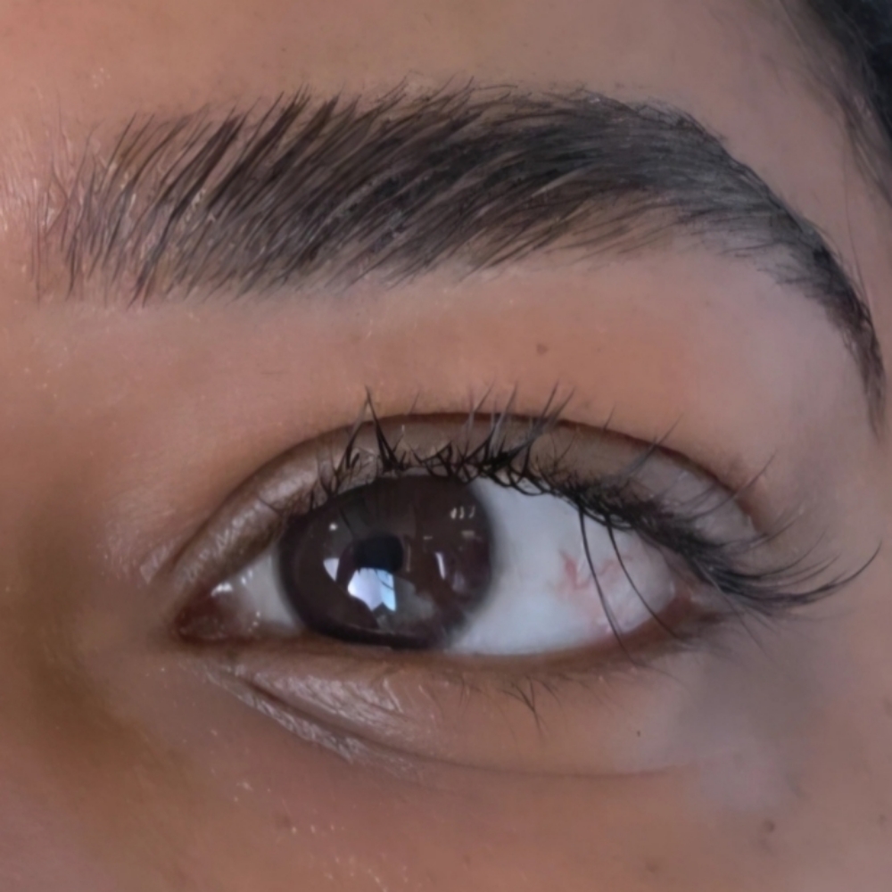 Brow Lamination + Wax +Tint at Lalash Beauty studio in Pawtucket, RI