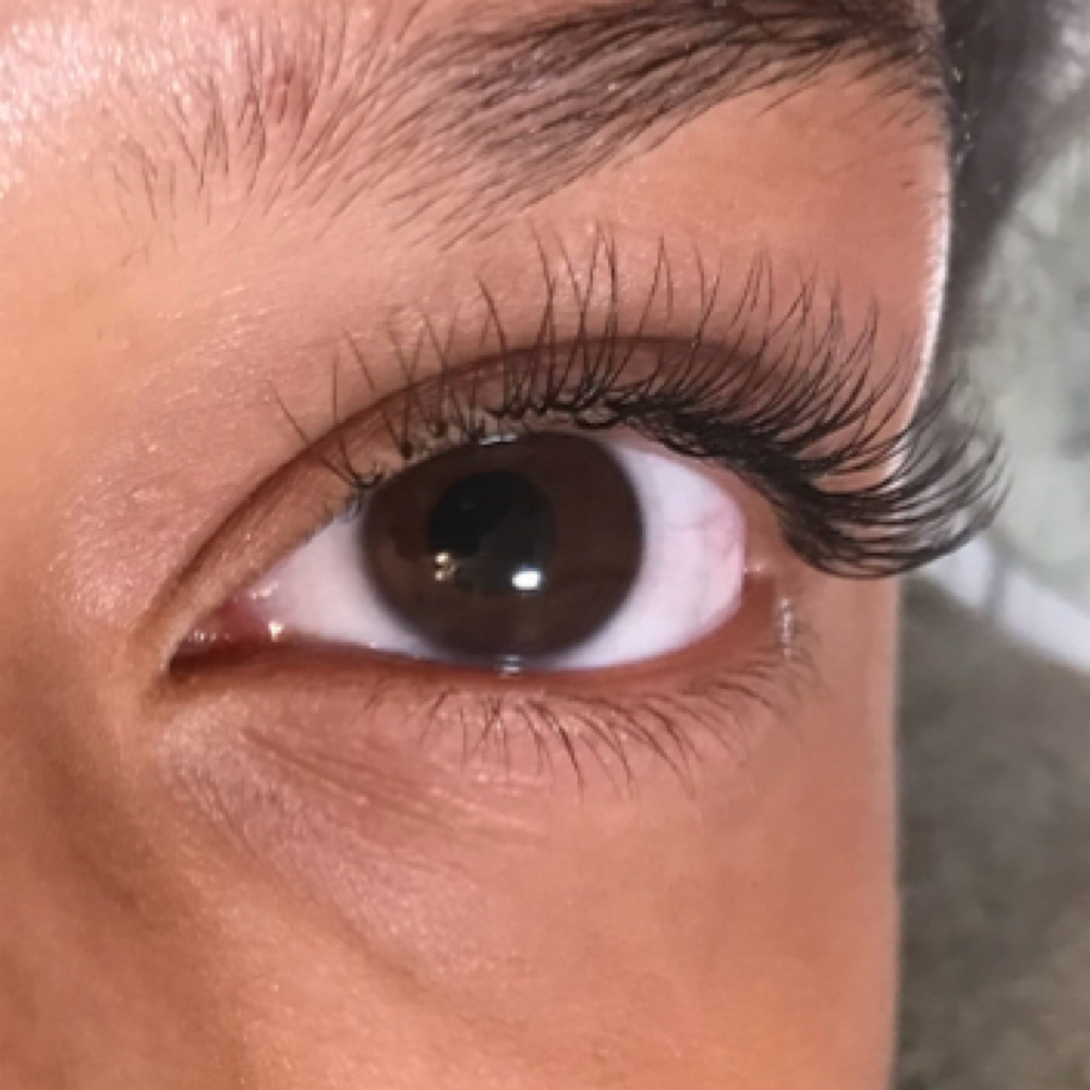 Y Not Lash Set at LeeLee’s Lashes & Brows in Summerville, SC