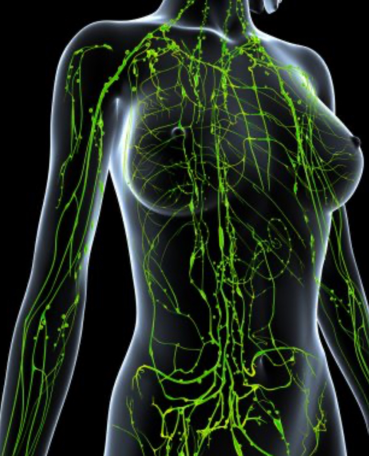 LymphoEase (Node Removal) 1 Session