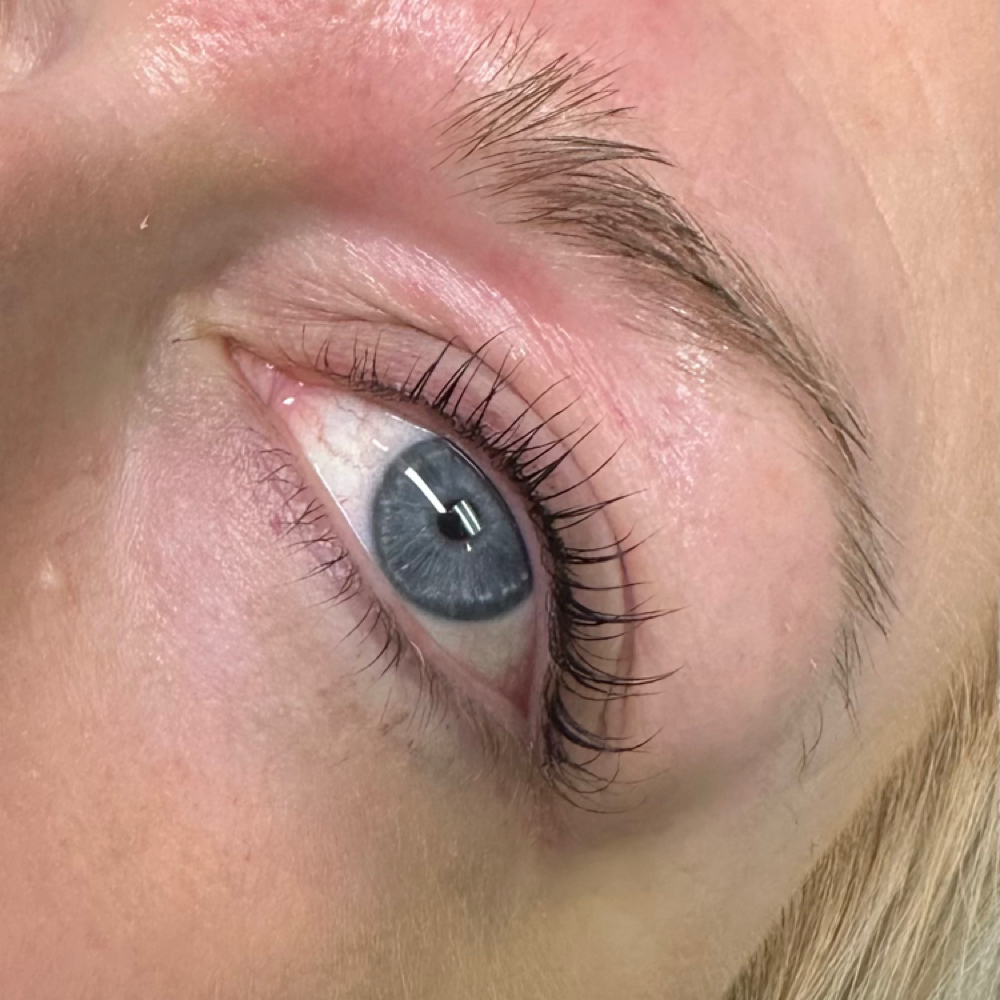 Classic Lash Lift & Tint at Mantis Lashes in Sault Ste. Marie, MI
