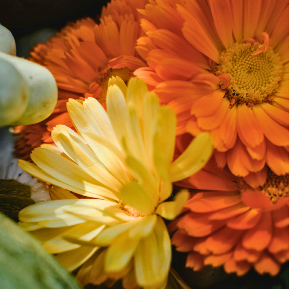 Aromatherapy Hot Towel Massage at Invoke Bodywork and Botanicals in Mendo & Fort Bragg, CA