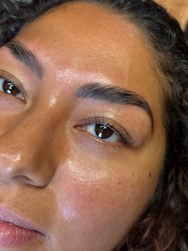 Lash + Brow Bundle