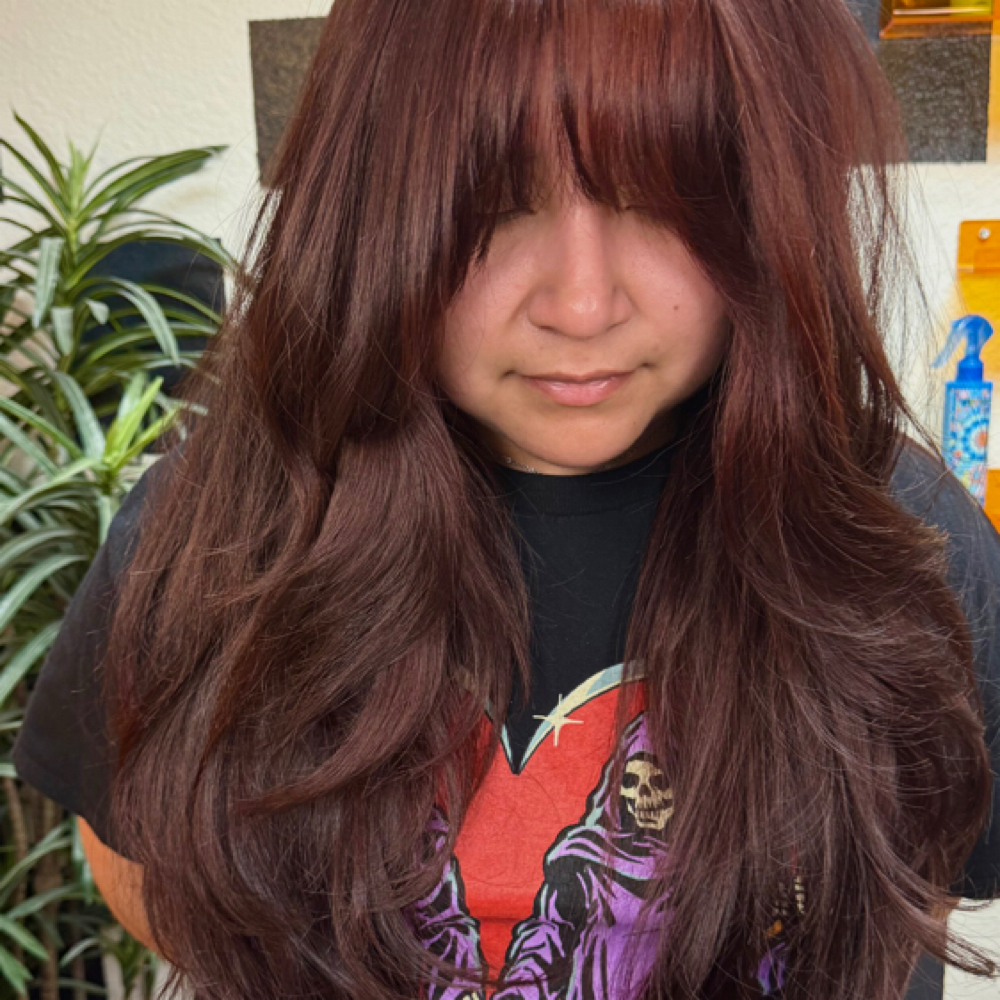 Scissor Hair Cut + Blowout at Alicia At The Hippie Hair Room in Weatherford, TX