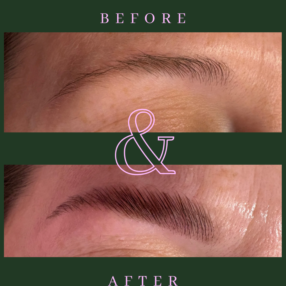 The Ultimate Brow
