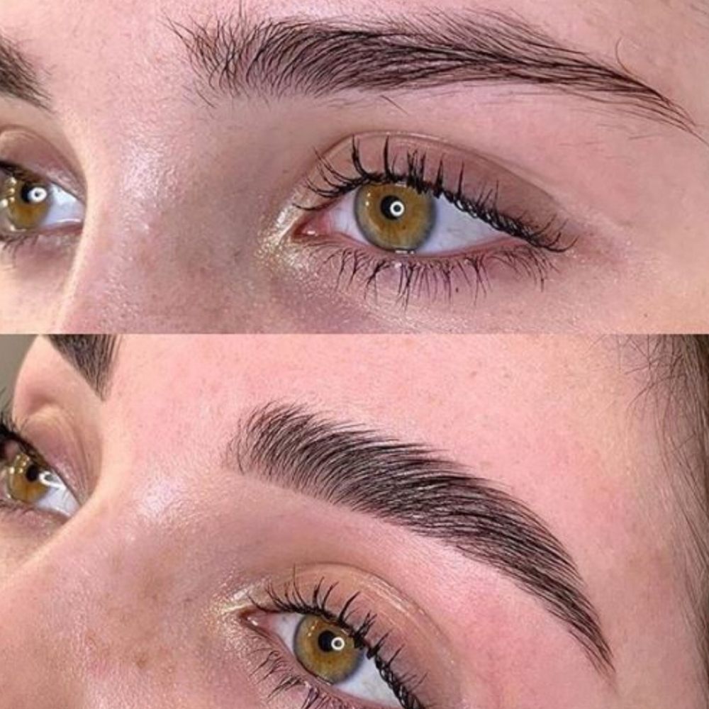 Brow Lamination, Tint & Wax at Luxe Skin & Lash Studio in Tewksbury, MA