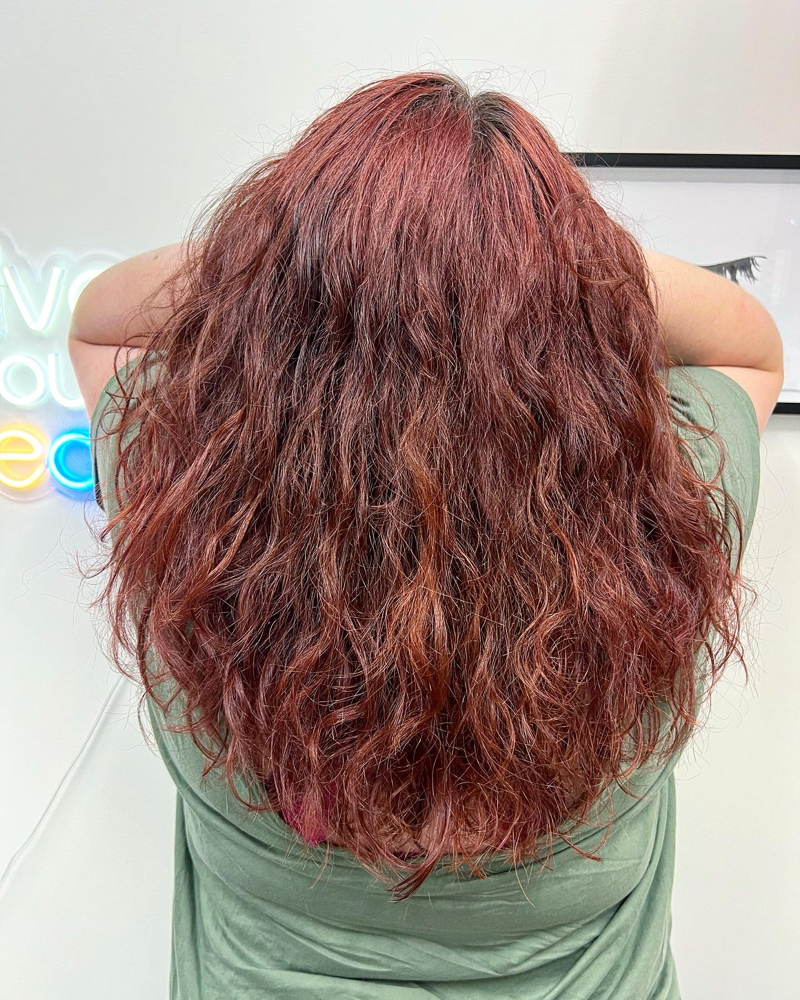 Womens Cut And Color