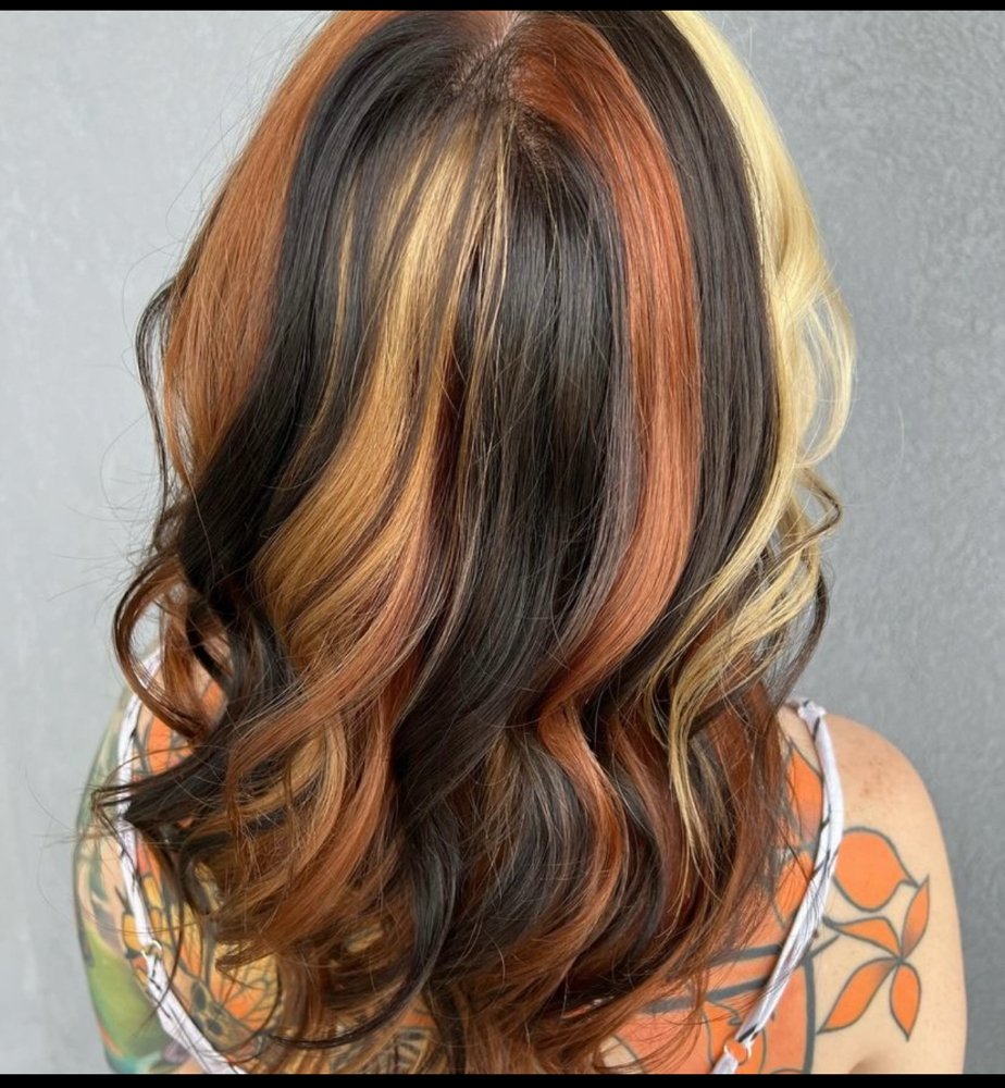 Hair Color at Dye'N 2 Cut It in Las Vegas, NV