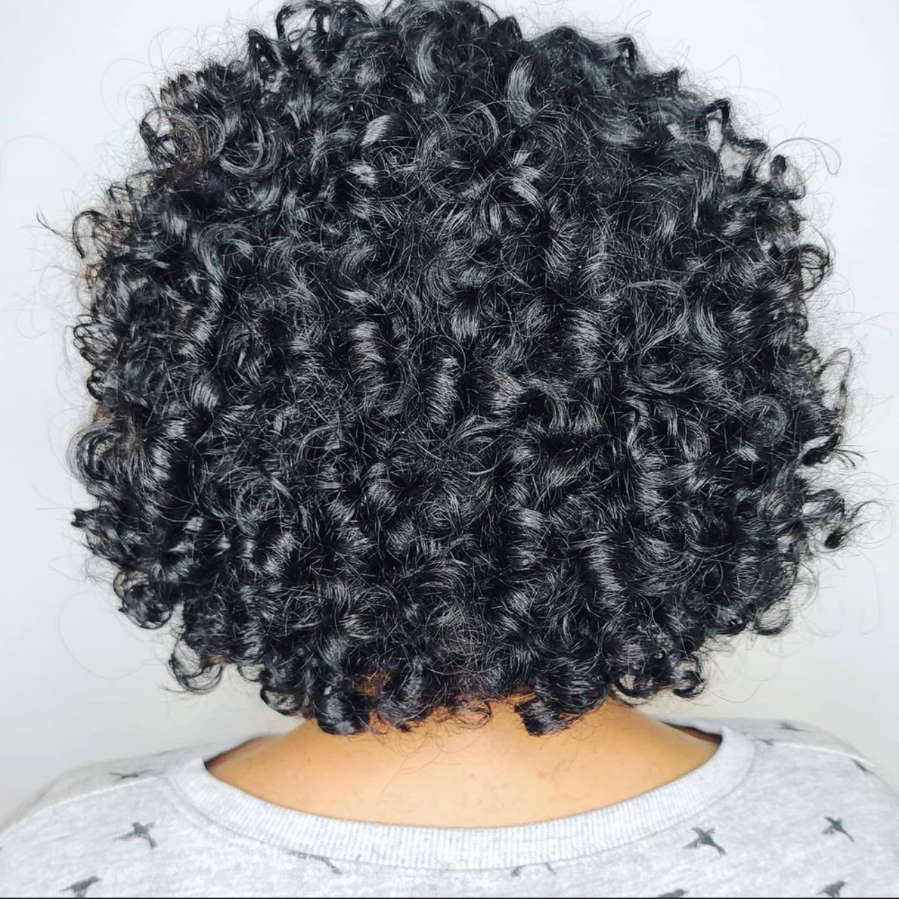 THE BLOOM EXPERIENCE