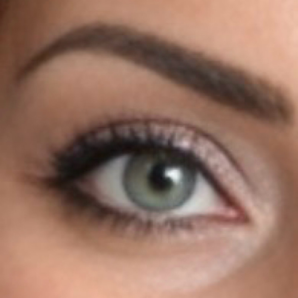 Brow Color at The Salon & Barbershop at Sunset Hill in DOVER, NH