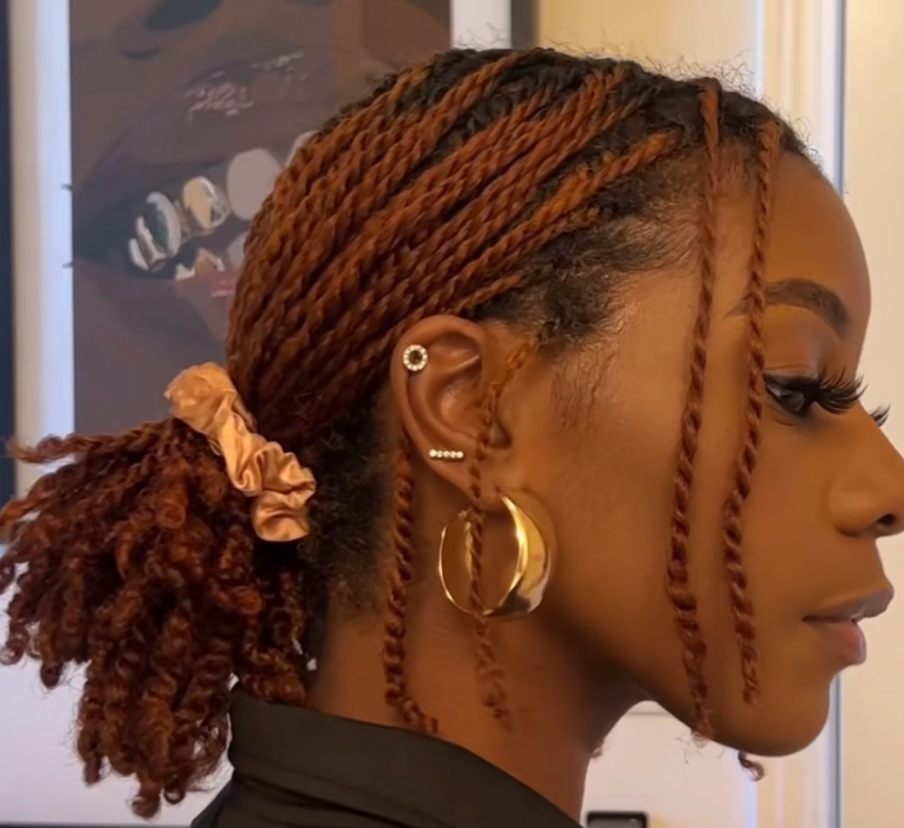 Mini Twists