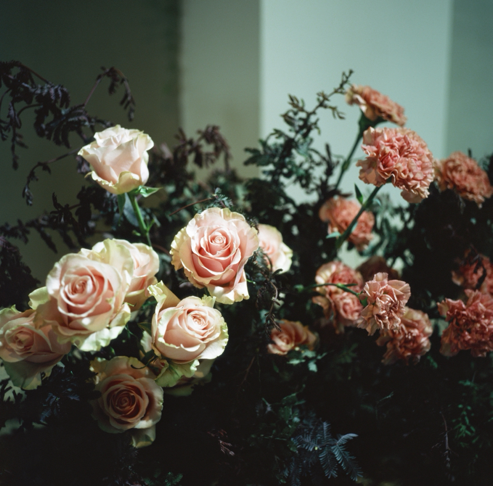 Colour With Wellness Treatment