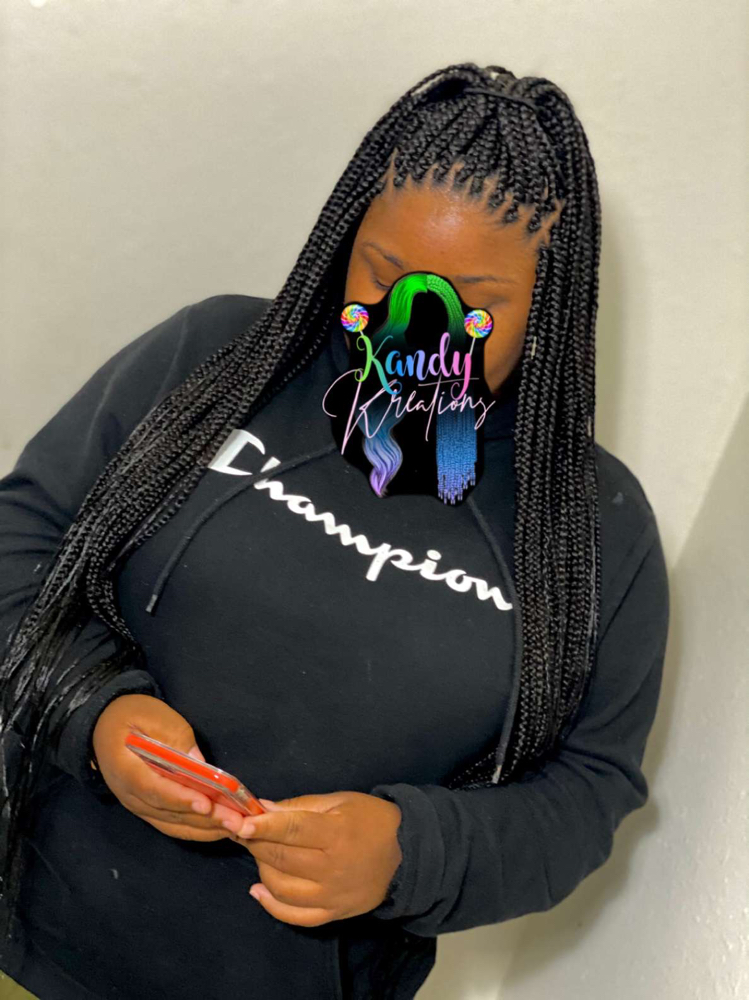 Small Box Braids (midback)
