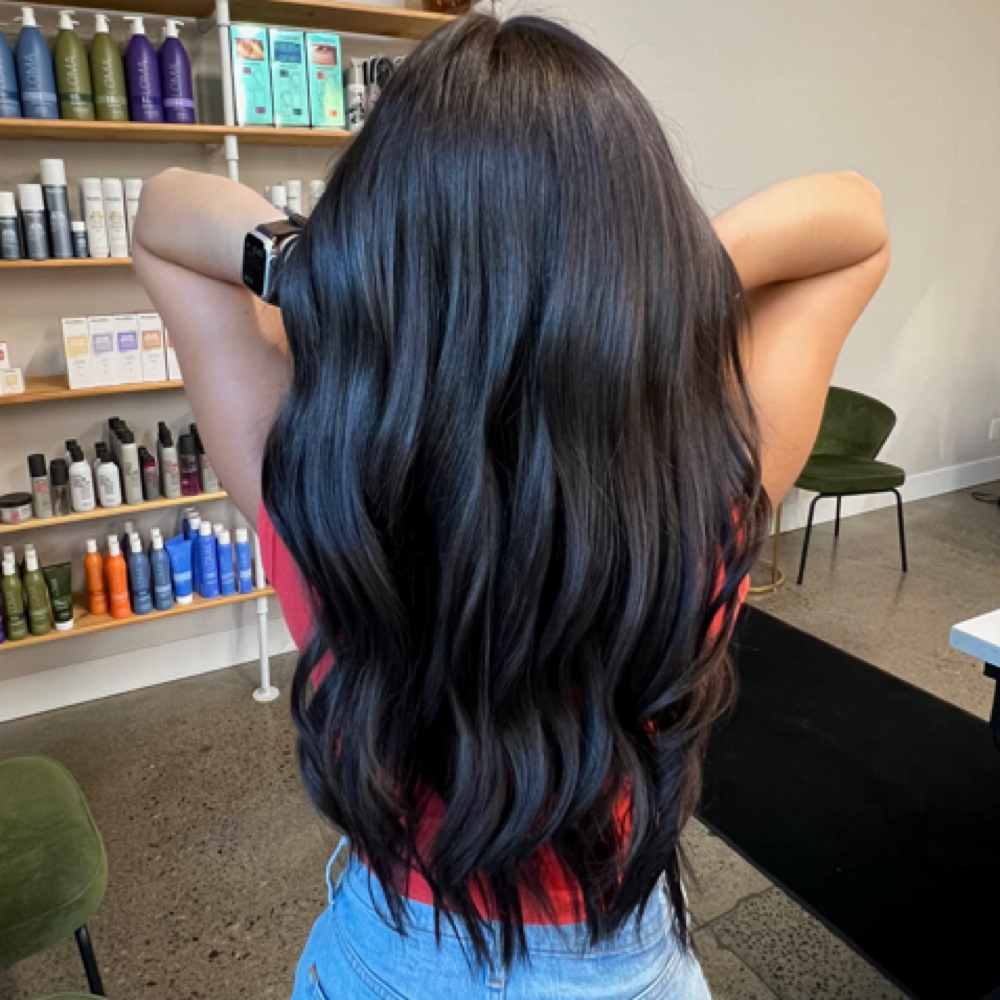 Gray Coverage + Toner + Haircut at .A. Blooming Beauty in Albany, NY