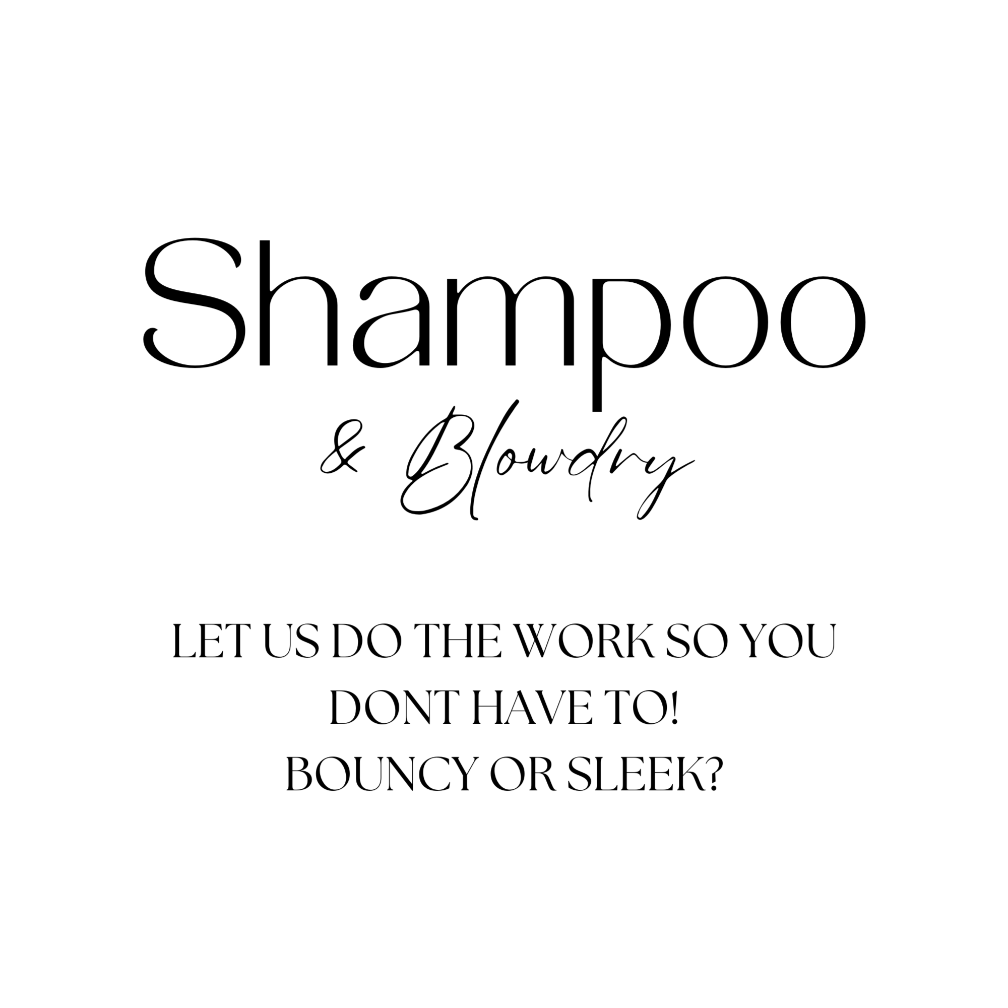 Shampoo & Blowdry at Lovettsville Hair Studio in Lovettsville, VA