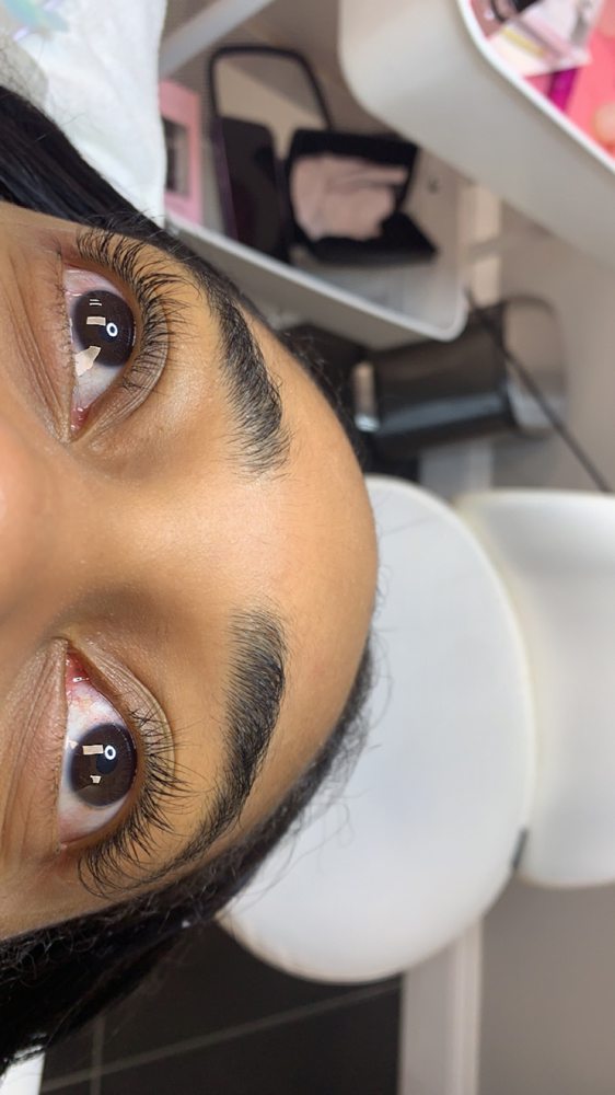 Classic Lash Application