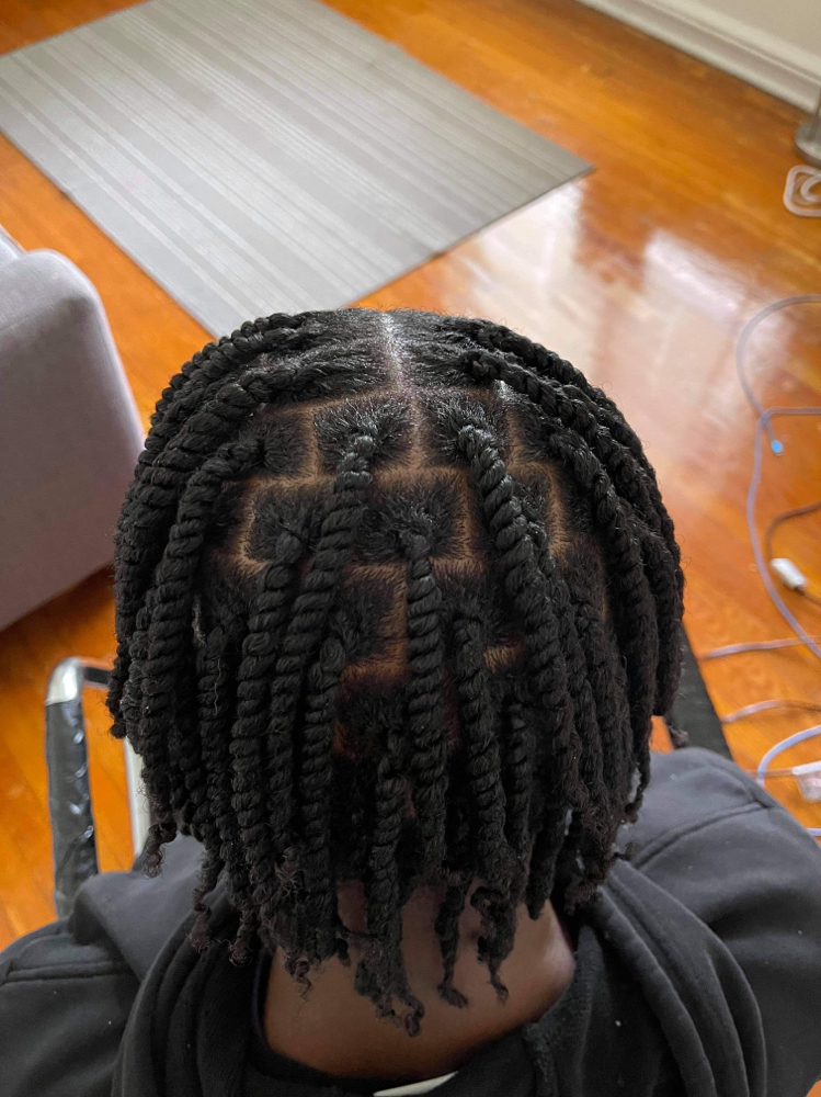 2 Strand Twist On Natural Hair