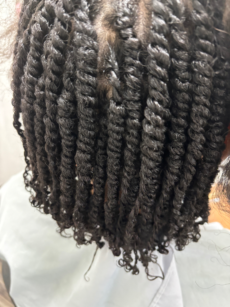 Two Strand Twist (natural hair)