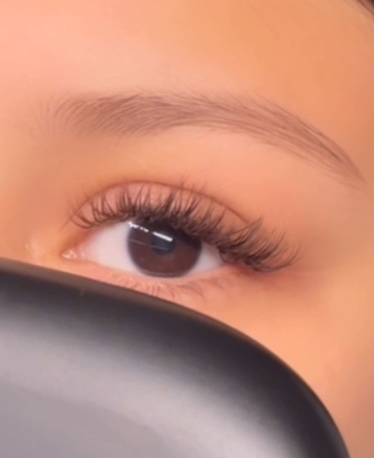 Brown Lash Add On