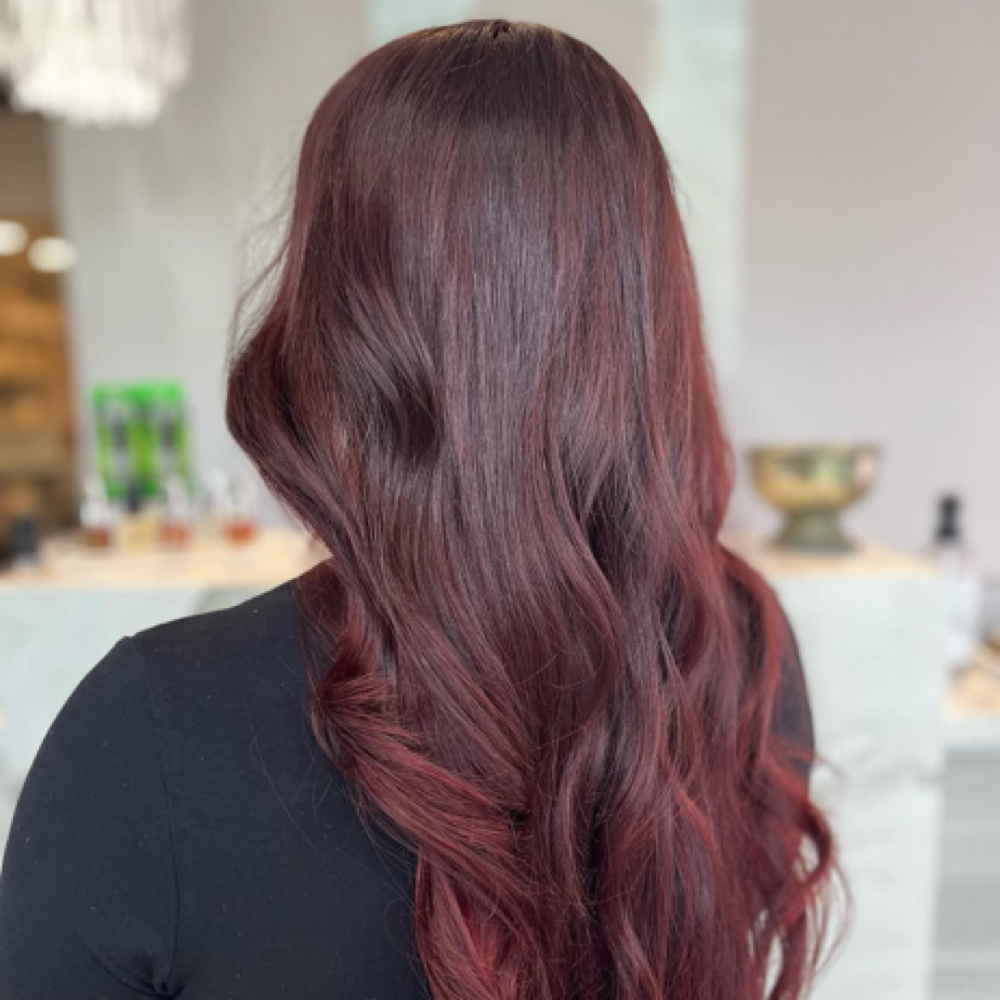 All Over Color at Rachel Zanath in Akron, OH