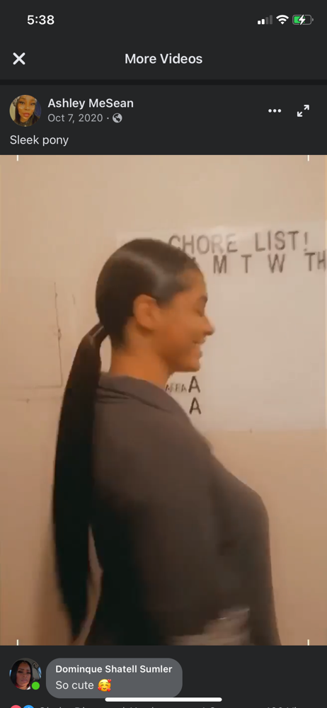 Sleek Ponytail/knot/regular Braid