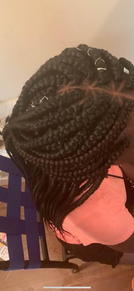 Box Braids  14+ Large