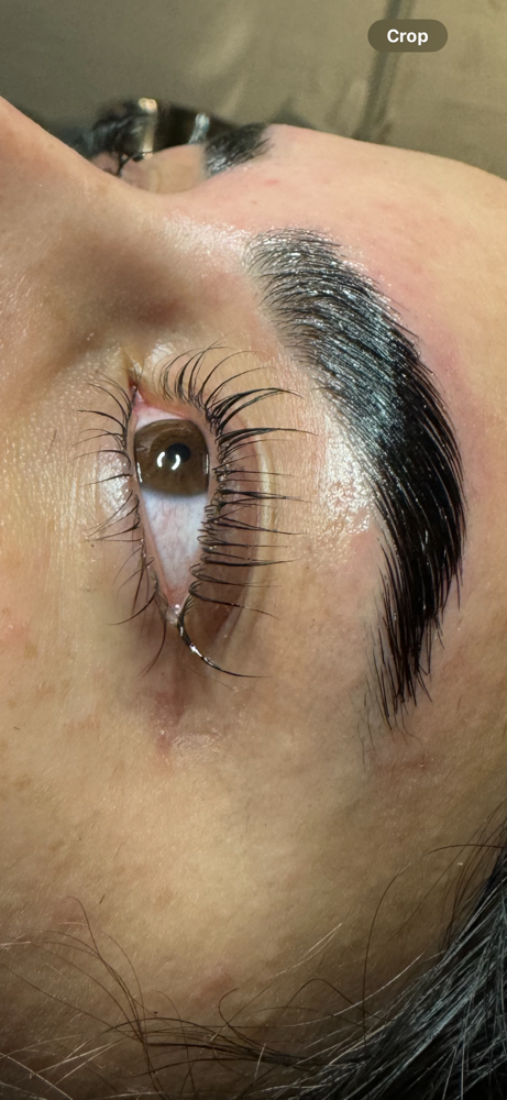 Lash Lift + Tint at Oz Skin in New York, NY