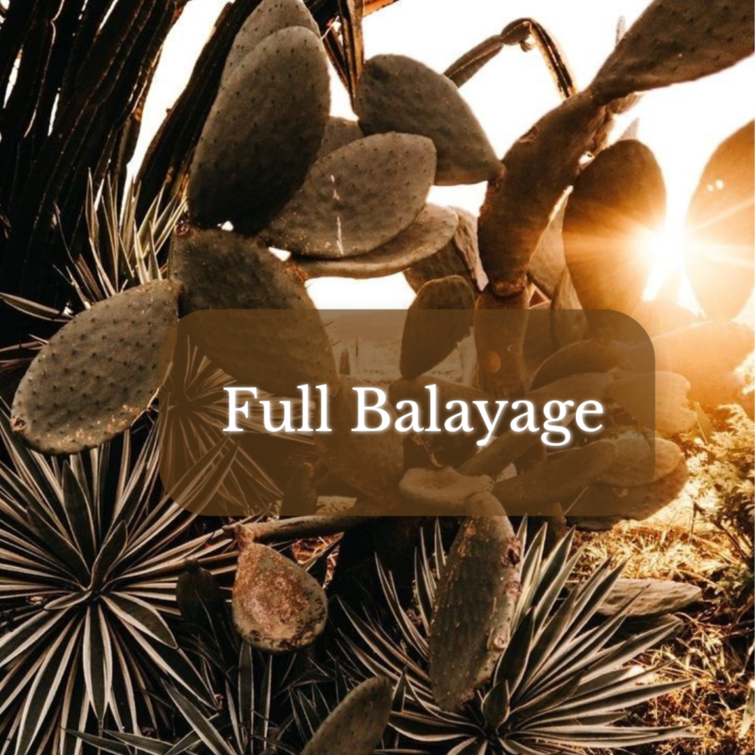 Full Balayage at Magnolia on Main in Keene, NH