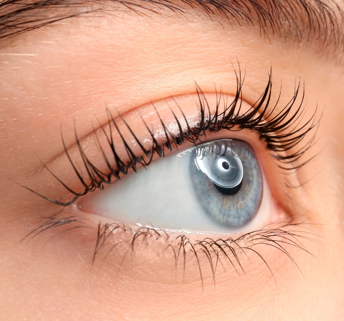Lash Lift and Tint