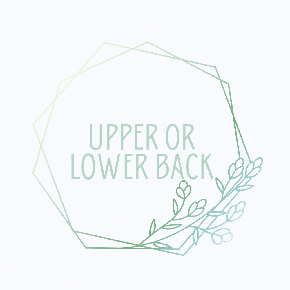 Upper or Lower Back