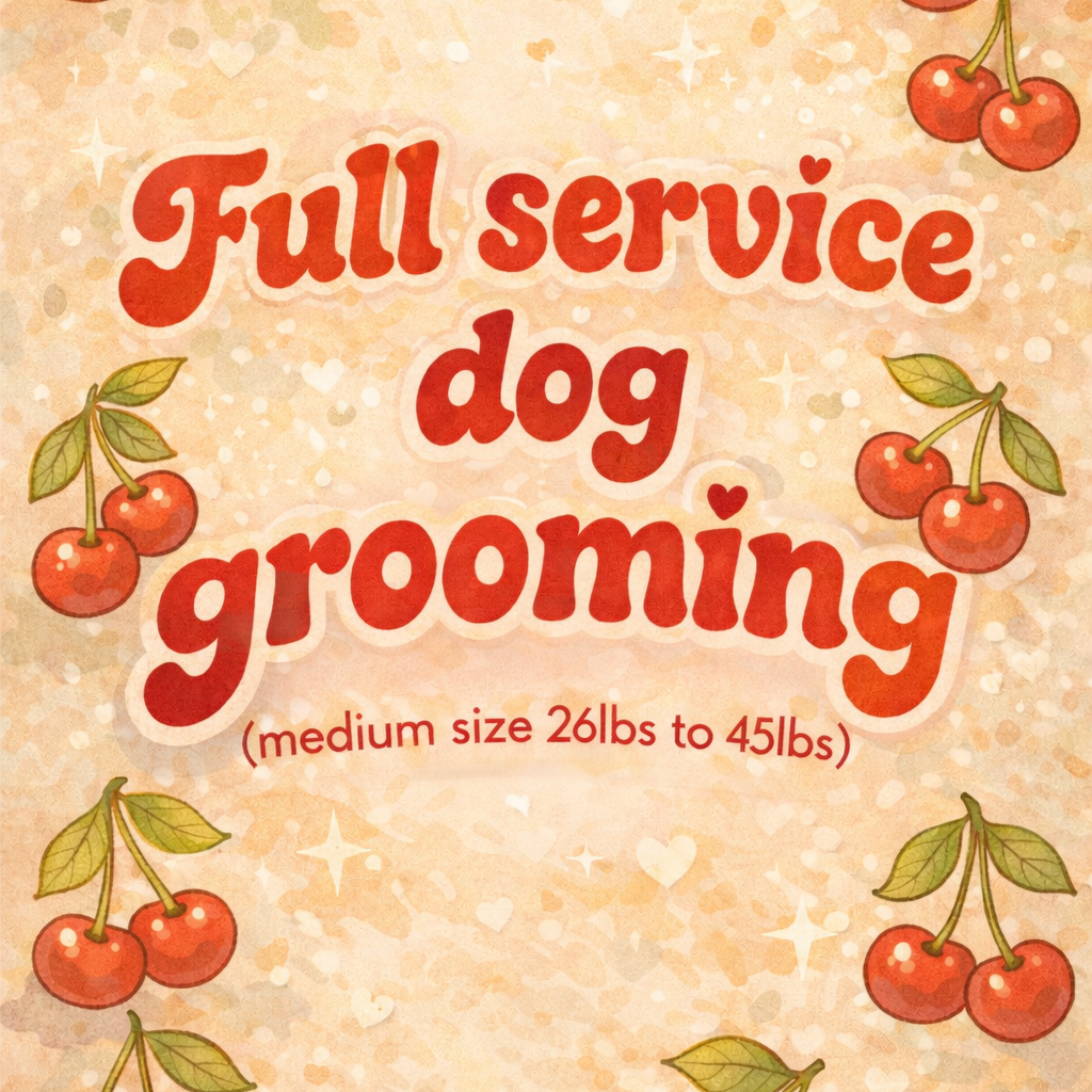 Full Service Groom(med 26-45lbs) at Cherry Bow Dog Grooming in Alvarado, TX