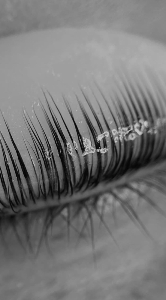 Lash Lift + Tint at Glow Haven Esthetics in Citrus Heights, CA