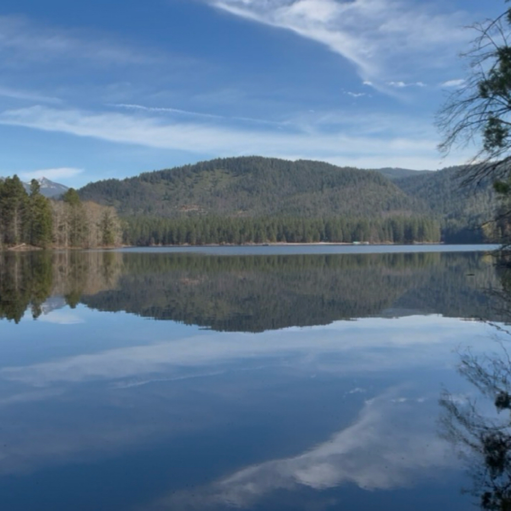 Senior Care Massage at “Art Of Circulation” in Mount Shasta, CA