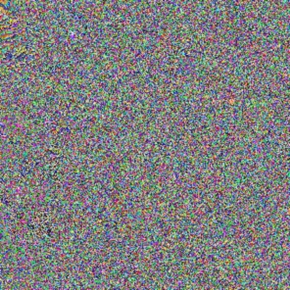 Braids at Monique  Massie in Wilkinsburg, PA