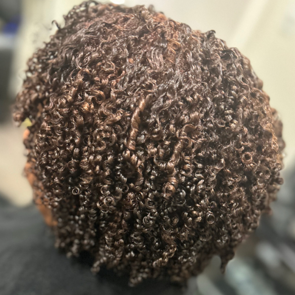 Curl Defining ( natural hair products are used to define natural curl pattern) at Sanchize Hairstylz in Mobile, AL