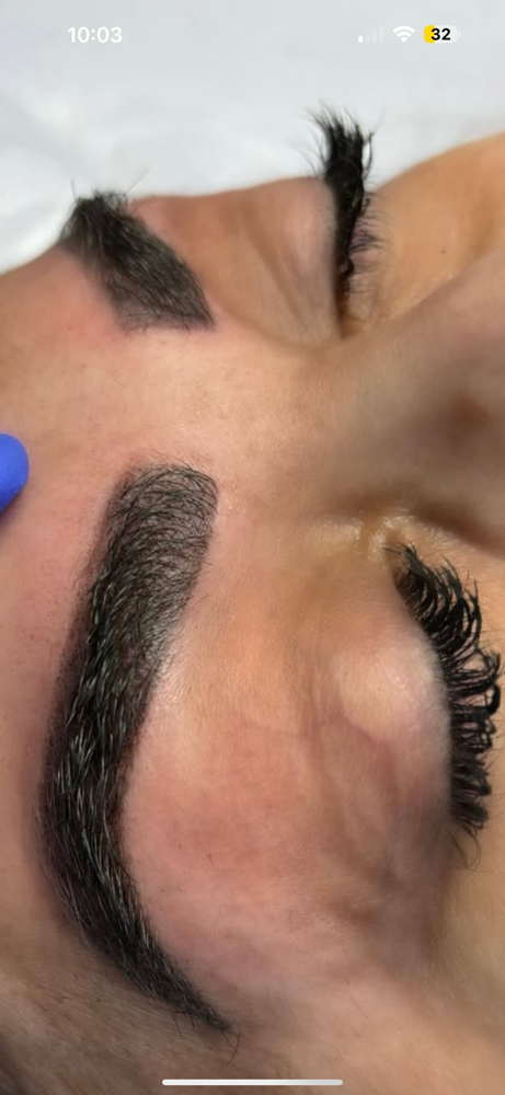 Annual Brow Touch Up
