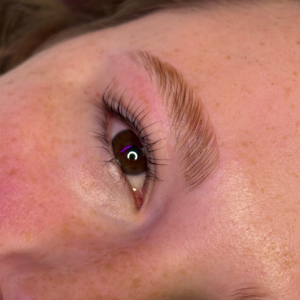 Brow Lami And Lash Lift Combo at The Beauty Space in Pinellas Park, FL