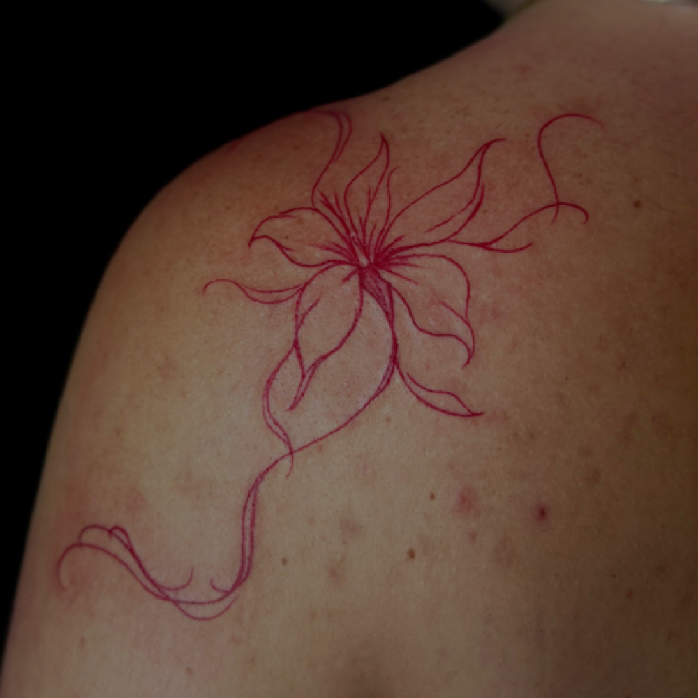 2 Hours (Tia Apprentice) at Moonstone Studio L.L.C. in Putnam, CT