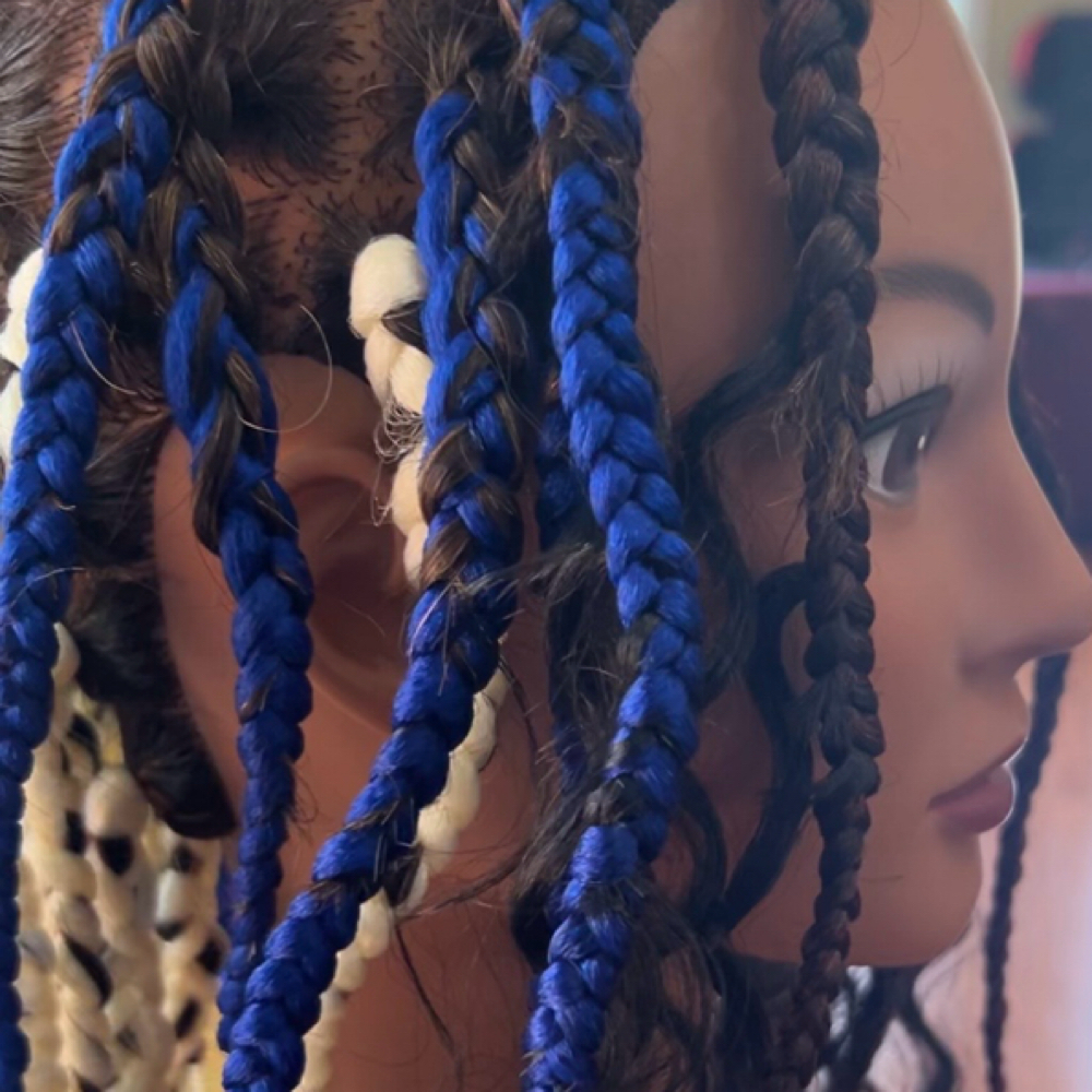 Large Box Braids/waist Length at SC Signature Hair Salon in Vestavia Hills, AL