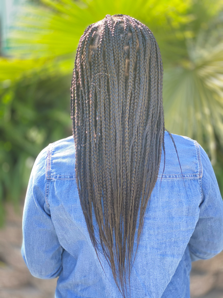 Young Queen Knotless Braids (3-12y)